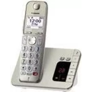 DECT-telefon Panasonic KX-TGE260GN