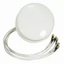ALLNET antenn 2,4/5 GHz 4dBi DualBand Spatial Diversity MIMO laeantenn HG2458-4SDC-RSP