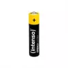 Intenso Batteries Energy Ultra AAA LR03 10 tk Shrinkpack