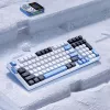 VGN V98 Pro mänguriklaviatuur, Arctic Fox - piiratud väljaanne (US)