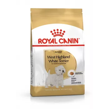 Royal Canin BHN West Highland Valge Terrier Adult - kuivtoit täiskasvanud koertele - 3kg