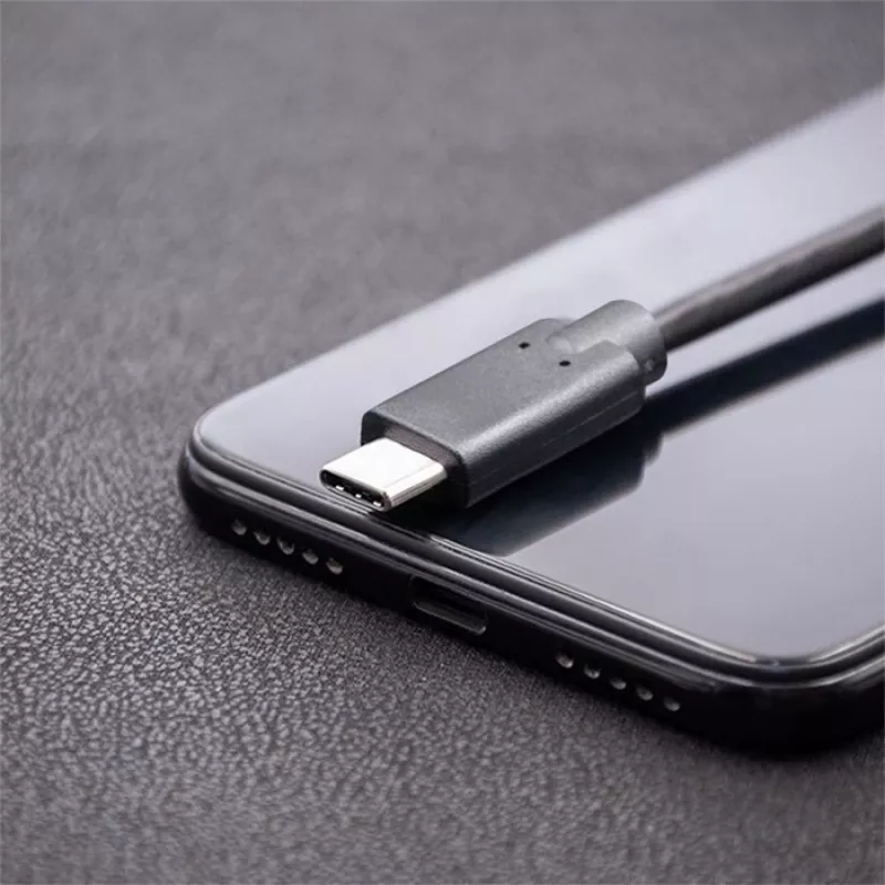USB 3.1 Type-C isane USB 3.1 Type-C isane