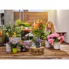 Gardena AquaBloom voolik 20 m must 13301-20
