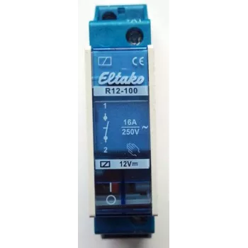 Lülitusrelee R12-100-12V DC (22100054)
