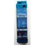 Lülitusrelee R12-100-12V DC (22100054)