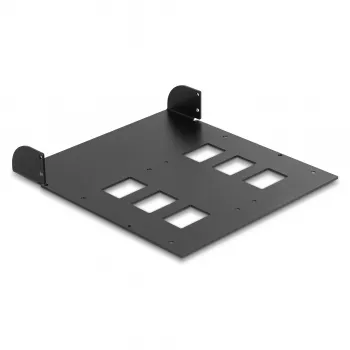 Paigaldusraam DeLOCK 5,25-tolline metallist paigaldusraam kahele mobiilsele salvele 47011 47005