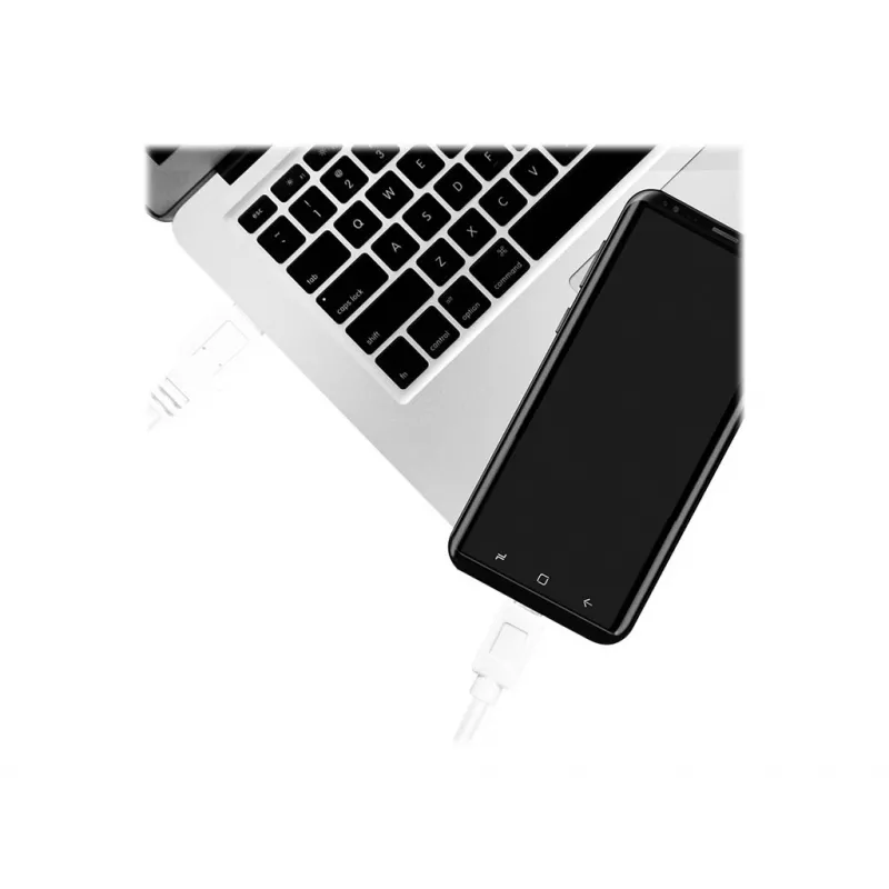 USB-kaabel LogiLink CU0175 USB 3.2 Gen 1 1,5 m USB A USB C valge