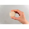 Nutinupp Shelly BLU Button Tough 1