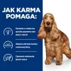 HILL's Prescription Diet Food Sensitivites z/d - kuiv koeratoit - 10 kg