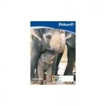 Pelikan Zeichenblock C 2-10, DIN A2, 100 g/qm, 10 lehte kloorivabalt pleegitatud, perforeeritud (137604)