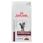 Märg kassitoit Royal Canin Gastrointestinal Moderate Calorie 12 x 85 g kotikest, täiskasvanud kassidele, lihamaitsega, 82,2% niiskust