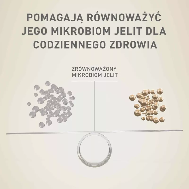 Kuiv koeratoit Purina Nestle Mini Adult Beef & Rice 800 g — kuivkibble väikestele täiskasvanud koertele, 27% valku, 17% rasva