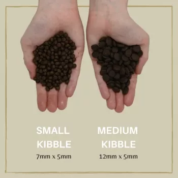 EDEN Puppy Cuisine 80/20 Small kibble - kuiv koeratoit - 2kg