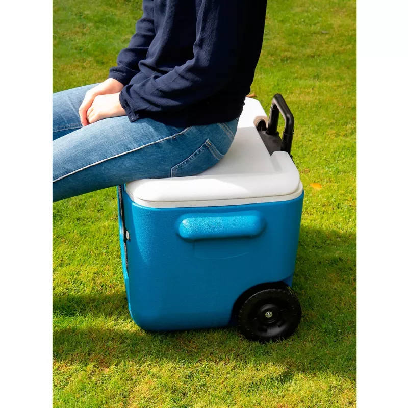 Coleman 2000036081 46 L sinine