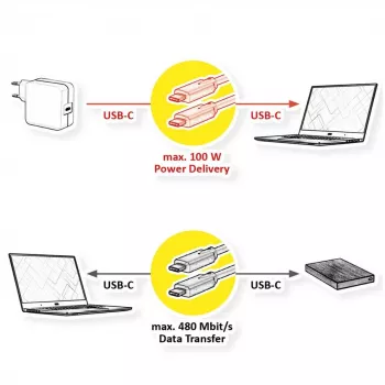 USB-kaabel VALUE 11.99.8310 3 m USB C Must USB 2.0