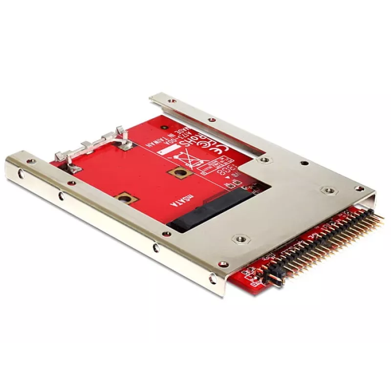 Sisemine mSATA-adapter DeLOCK 62495
