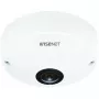 IP turvakaamera Hanwha QNF-8010 Dome 2048 x 2048 pikslit
