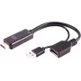 HDMI A Female to DisplayPort Male Adapter ShiverPeaks BS10-01012 4K 60Hz 20cm