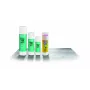 Liimipulk Stanger 10 g — tahke liimipulk paberile ja meisterdamisele, 10 grammi, 1 tk