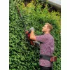 Akuvöö Einhell GE-PB 36/18 Li must Power X-Change