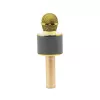 Mikrofon MANTA MIC10-G Gold kardioidne kaasaskantav — kardioidne kondensaator, pihuformaadis