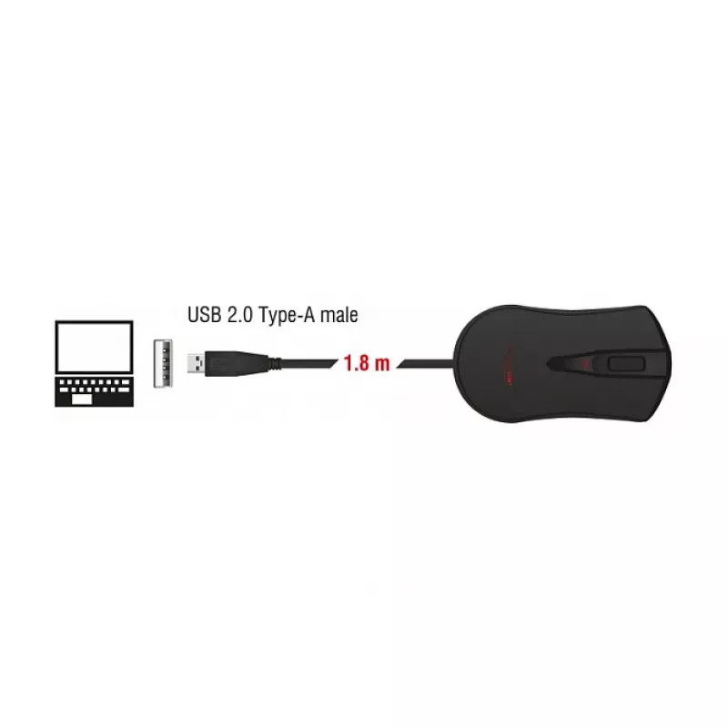 Mängurihiir DeLOCK 12531 mõlemakäeline USB Type-A optiline 4800 DPI