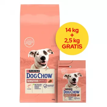 PURINA Dog Chow Sensitive Salmon - kuiv koeratoit - 14 + 2,5kg