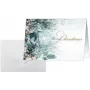 Õnnitluskaardid sigel DS086 — Eucalyptus Magic, A6 formaat, 250 g/m² kartong, tühi seest, pakend