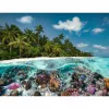 Pusle Ein Dive in the Maldives (2000 tükki)