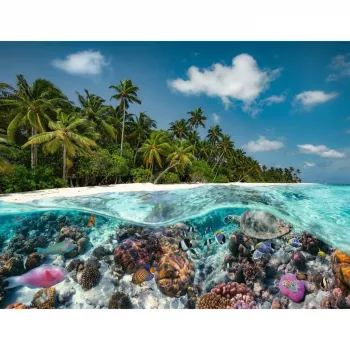 Pusle Ein Dive in the Maldives (2000 tükki)