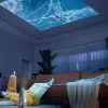 Kaasaskantav projektor MANTA PMA102M24 — 1080p eraldusvõime, kompaktne disain