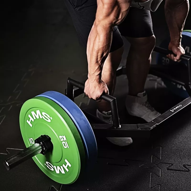 HMS Fitness CBR25 1 tk olümpia põrkeketas
