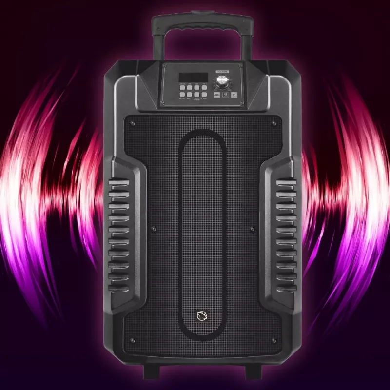 Kõlarid Manta SPK1203B100 100W