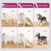 PETKIT DT5-EU Tolmuimeja ja karvapügaja kassidele ja koertele, must/lilla