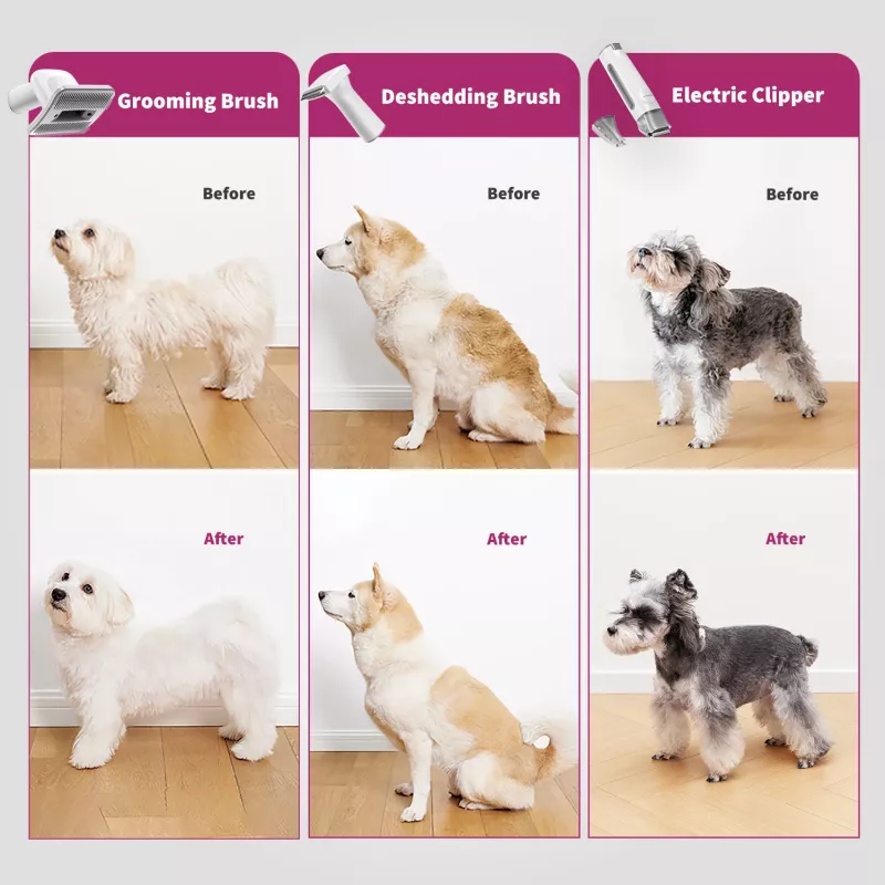 PETKIT DT5-EU Tolmuimeja ja karvapügaja kassidele ja koertele, must/lilla