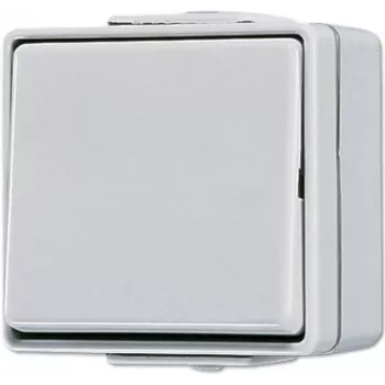 Surulüliti Jung 606 W 1P juhtmega 250 V 10 A hall
