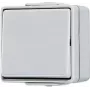 Surulüliti Jung 606 W 1P juhtmega 250 V 10 A hall