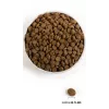 ACANA Highest Protein Pacifica - kuiv koeratoit - 11,4 kg