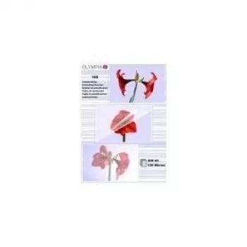 Lamineerimistasku Olympia 1x100 DIN A5 125 mikronit