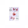 Lamineerimistasku Olympia 1x100 DIN A5 125 mikronit