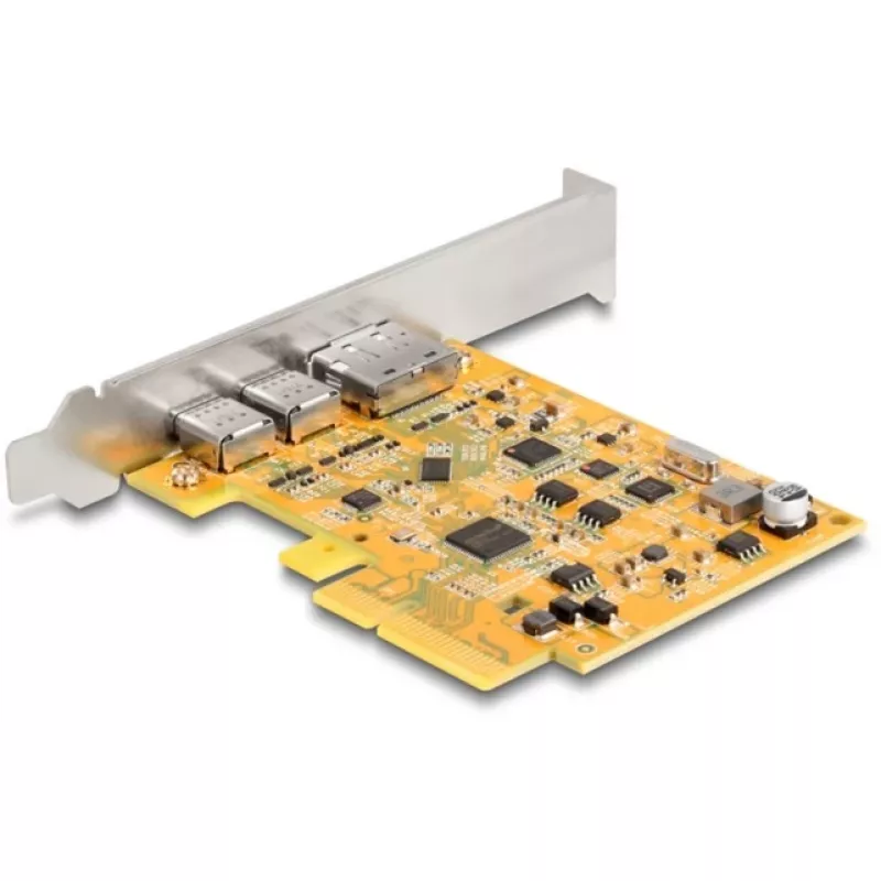 PCI Express x4 kaart DeLOCK 90161