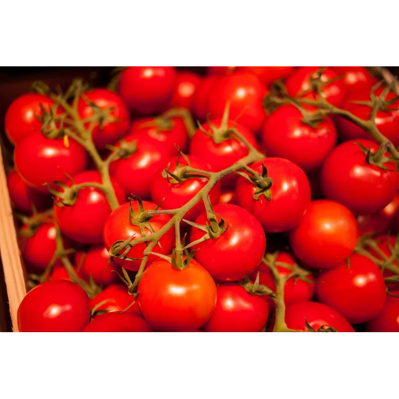 Bajaja kirsstomat Toraf köögiviljaseemned, 0,3g pakk