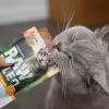 RAW PALEO Adult Cat Sterilised Turkey - märg kassitoit - 100 g