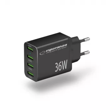 Esperanza EZC107K vooluvõrgu laadija 36W Must