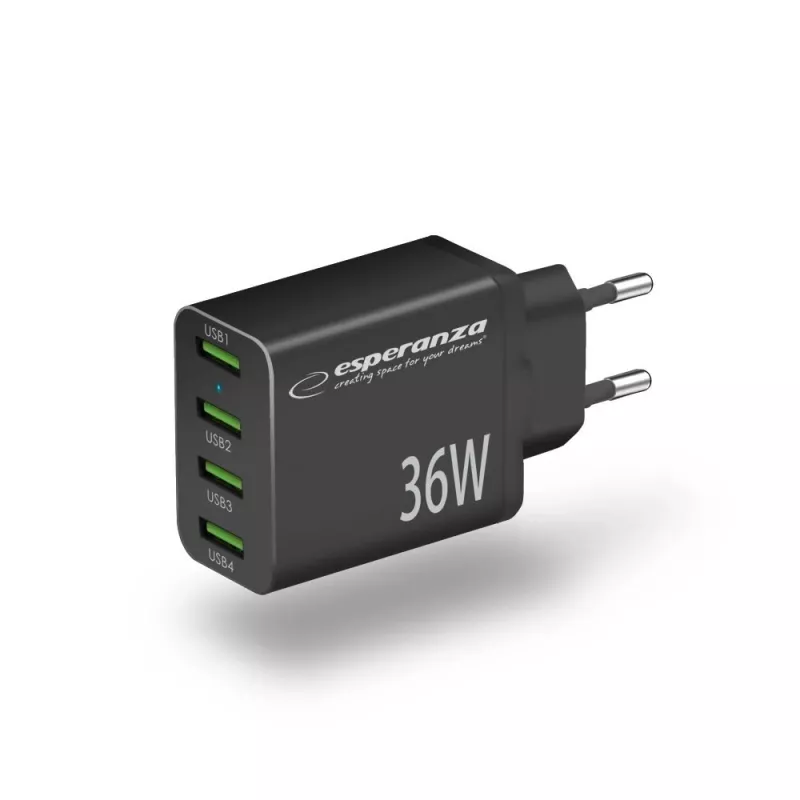 Esperanza EZC107K vooluvõrgu laadija 36W Must