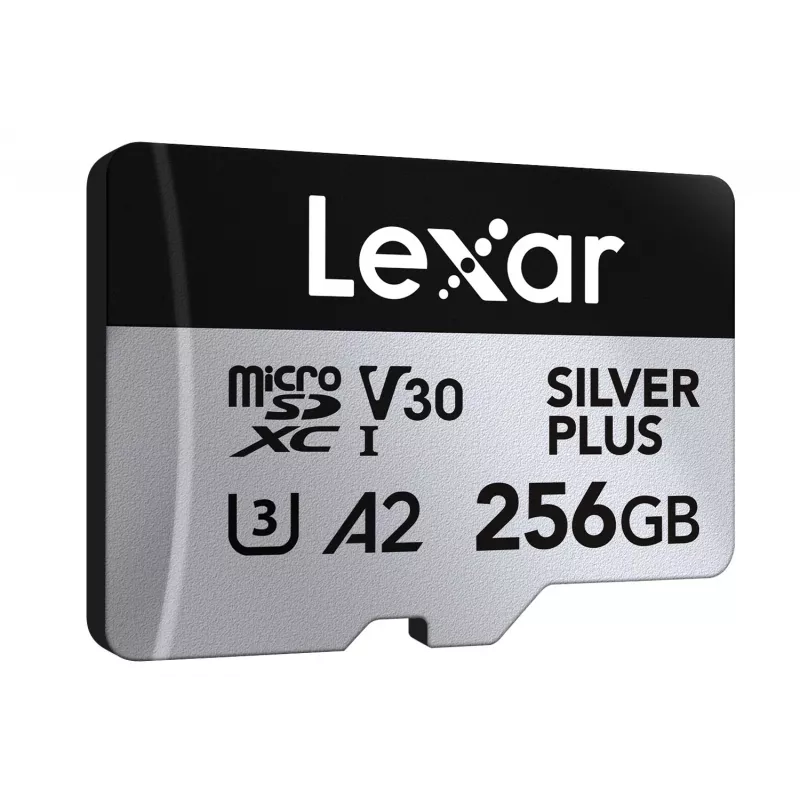 Mälukaart microSD 256GB C10 A2 U3 V30 205/150MB/s Silver Plus
