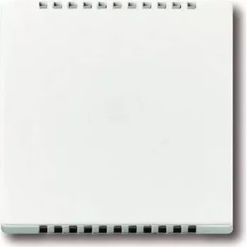 BUSCH JAEGER 6541-84 keskne katteplaat jahutussektsioonile UP-pöörddimmerile Busch-Dimmer