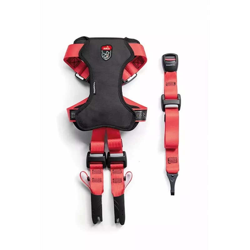Koerarakmed ZOLUX TRAVEL SAFE S, suurus S, punane