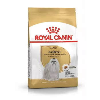 Kuiv koeratoit Royal Canin Maltese Adult 1,5 kg — kana, 24% valku, 18% rasva