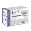 BRIT Veterinary Gastrointestinal Lamb - märg kassitoit - 12x85g